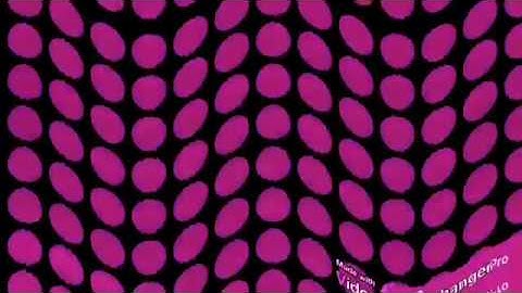 P2100SBF multirendering mega extended