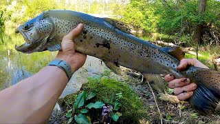 PERSONAL BEST WILD TROUT On MTB Slam! (28 Inches)