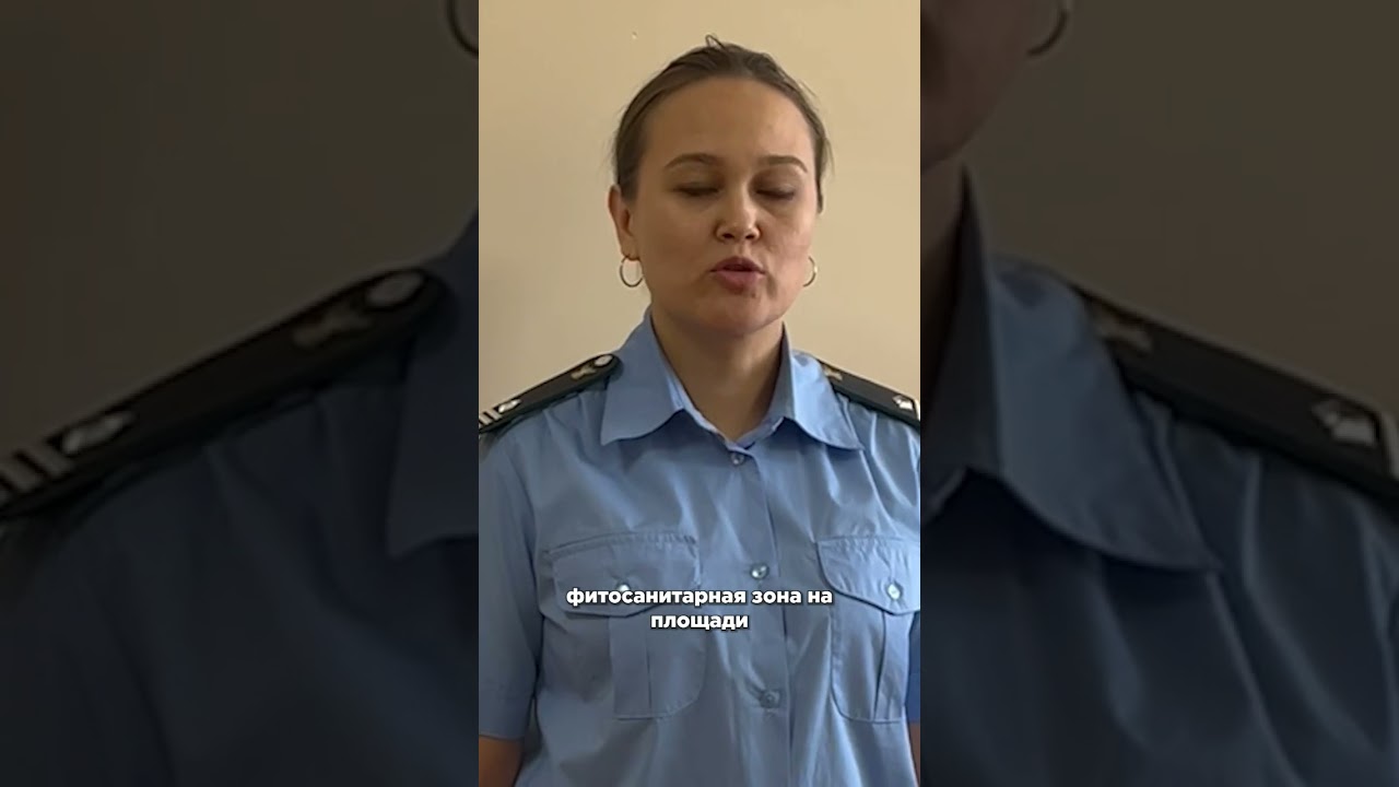 🪳Волосогрызки наступают. Карантин из-за черных усачей ввели в одном из сел Прибайкальского района.