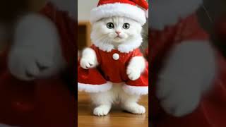 funny dance video #ai #aidance #shorts #shortsfeed #catlovers #catmemes #viralvideo #digitalcats