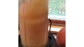 Apple Cider Slushy!