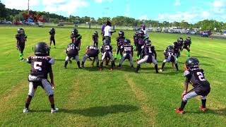 YSC ALL ACCESS WITH M.O.T