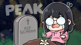 Celebrity i'm sorry scarra... | Peak ft. Michael Reeves, Sykkuno, Scarra, Aria Wealth