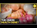 'Onion-Loving' Gene Linked to Better Health? | WION News
