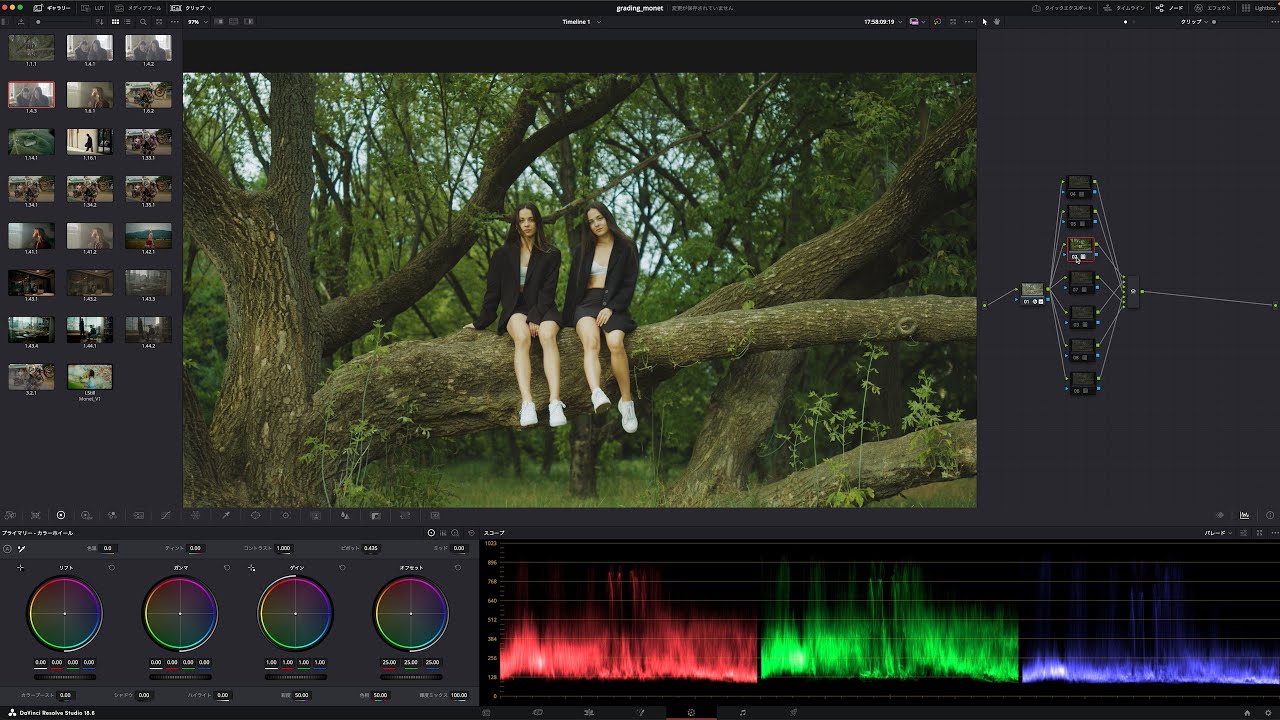 【無料ダウンロード】市川稜くんがLUTを作ったのでレビューしました。