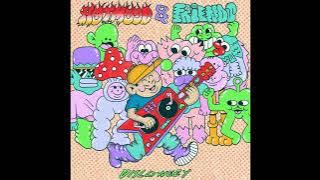 Hotmood - Back Into The Funky Groove