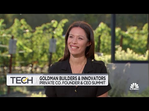 You will see a broader set of companies looking to go public next year, says goldman's kim posnett