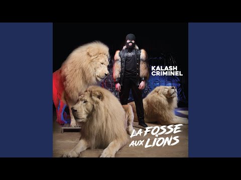 在 YouTube 上觀看「La Sacem de Florent Pagny」 在 YouTube 上觀看「La Sacem de Florent Pagny」