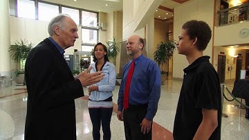 What fMRI Scans tell us about the Adolescent Brain