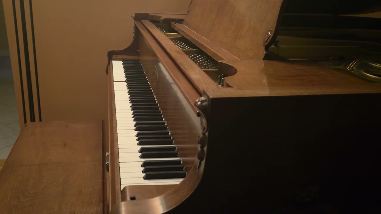 1930 Knabe Ampico B   Lady in the Dark 71903   Frank Milne