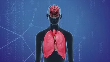 BPA-Free plastics found to be as harmful as regular plastic