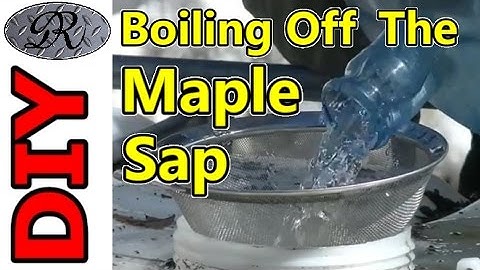 🍁🍁DIY Maple Syrup | Evaporating the Sap To Make Organic Maple Syrup | Time to Boil Down The Sap