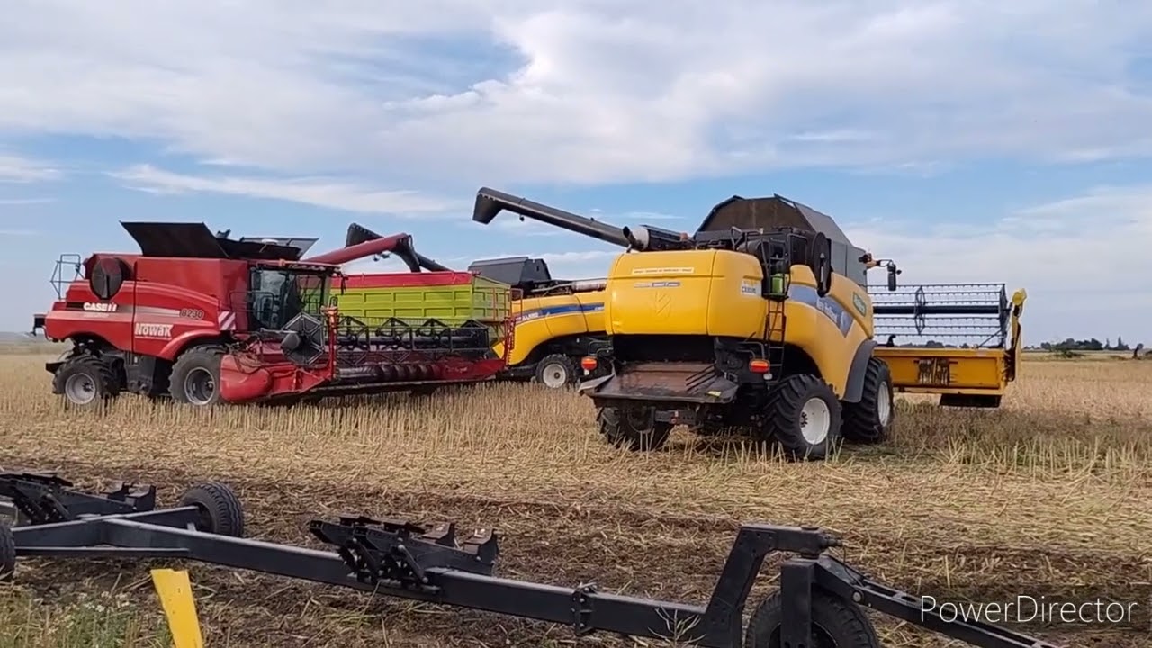 Żniwa 2024 --- Top Farms 🌾 POTĘŻNE OMŁOTY🌾 --- 32tyś/ha🔥