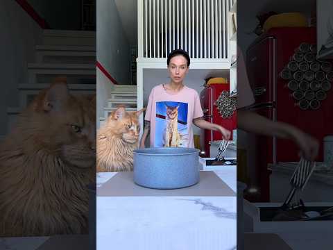готовим с котами свекольник #асмр #рецепты #готовимдома #еда #готовка #cooking #food