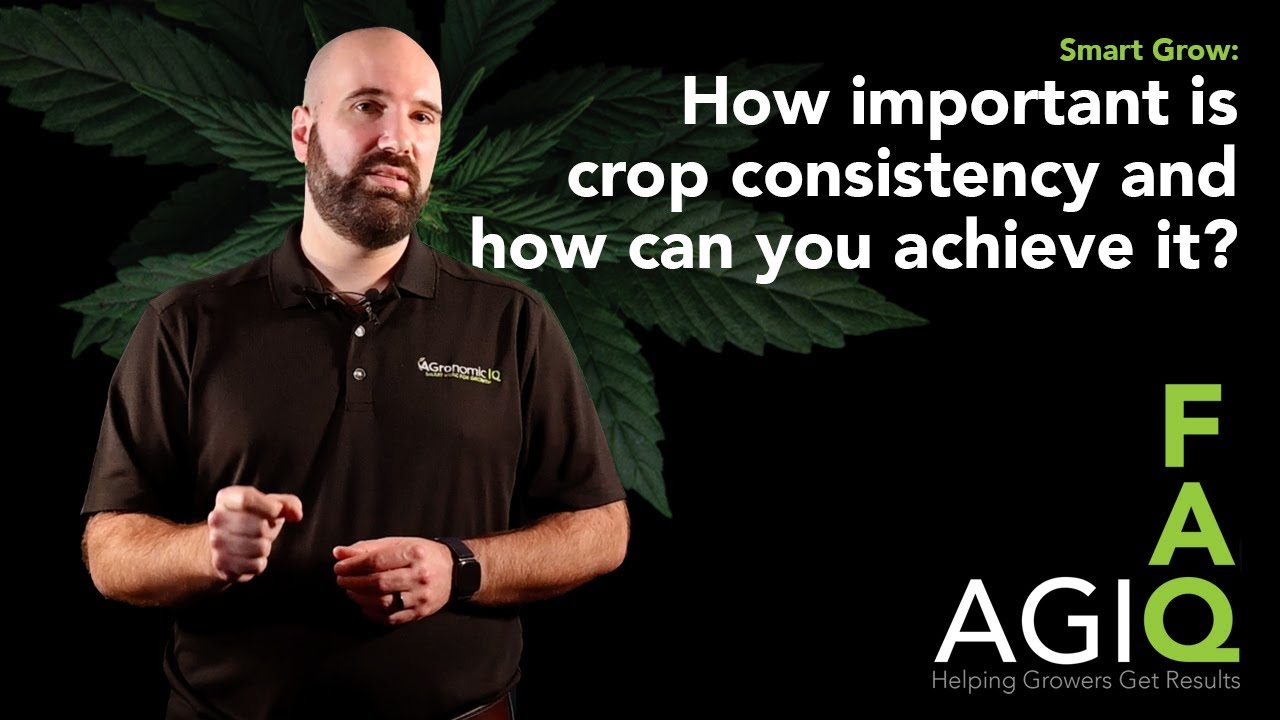 FAQ with AGIQ - How important is crop consistency, and how can you achieve it? (Episode 30)