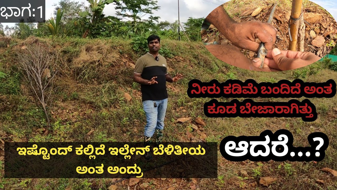 ಮುಕ್ಕಾಲ್ ಎಕ್ರೆ ಮುಕ್ಕಾಲಿಂಚು ನೀರು... ಹೊಸದಾಗಿ ತೋಟ ನಿರ್ಮಾಣ ಮಾಡುತ್ತಿದ್ದೇನೆ ತುಂಬಾ ಜನ ಇಲ್ಲಿ ಆಗಲ್ಲ ಅಂತ ಅಂದ