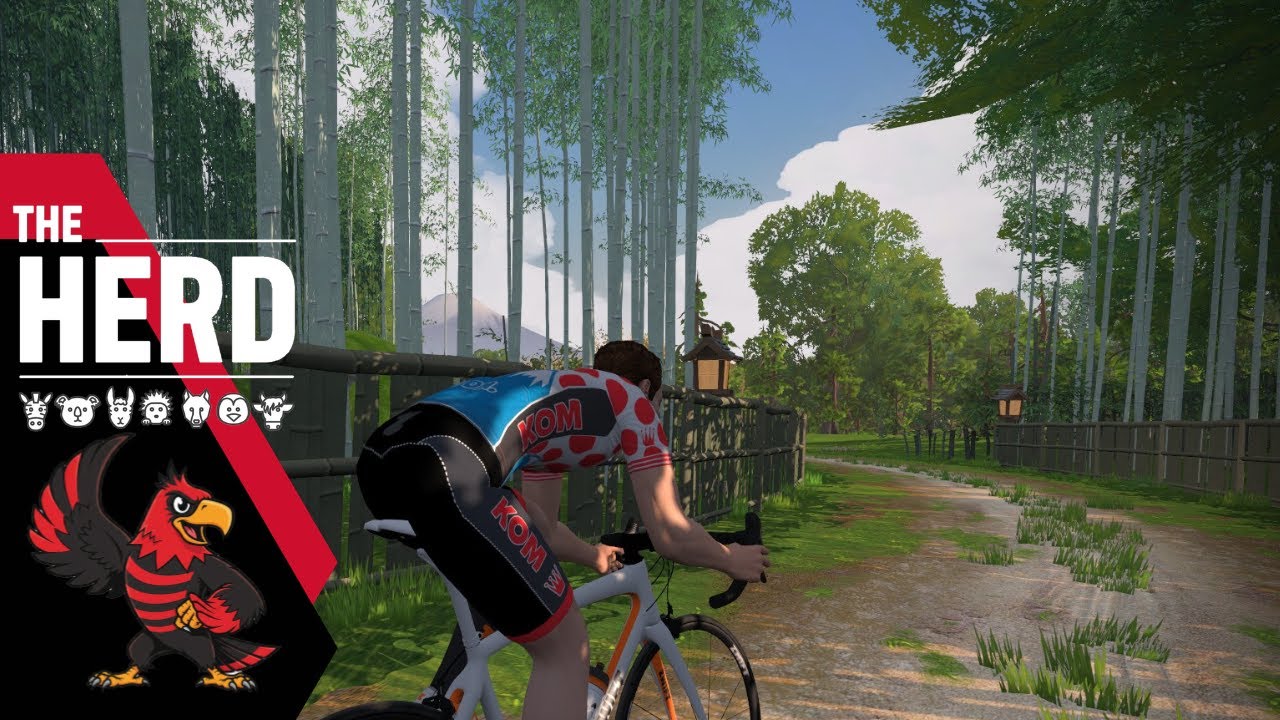 ZRL Amber B - Countryside Tour scratch race