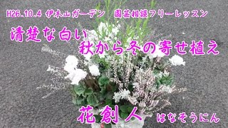 【お値下】サザンクロスとプルプレアの秋の寄植え