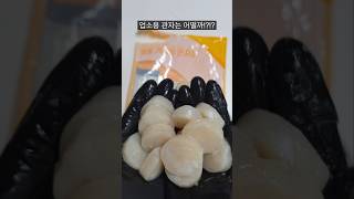 업소용 관자는 어떨까!?!?