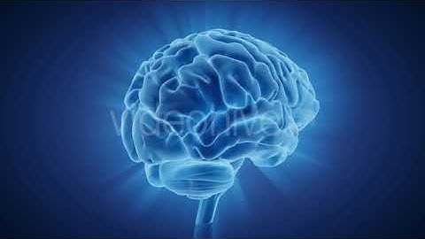 Brain Rotation | Motion Graphics - Videohive template