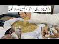 Aseel Chicks Breeding, Vaccination, Feed | Aseel Chicks Care | Aseel Murga Breeding Tips