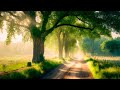 Beautiful Relaxing Music - Stop Overthinking, Stress Relief Music, Sleep Music, Calming Music #106