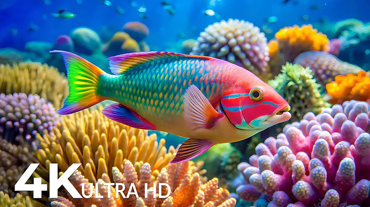 Marvel at Sea Animal in The Best 4K ULTRA HD Aquarium-Dive Into The Mesmerizing Underwater Realm #70
