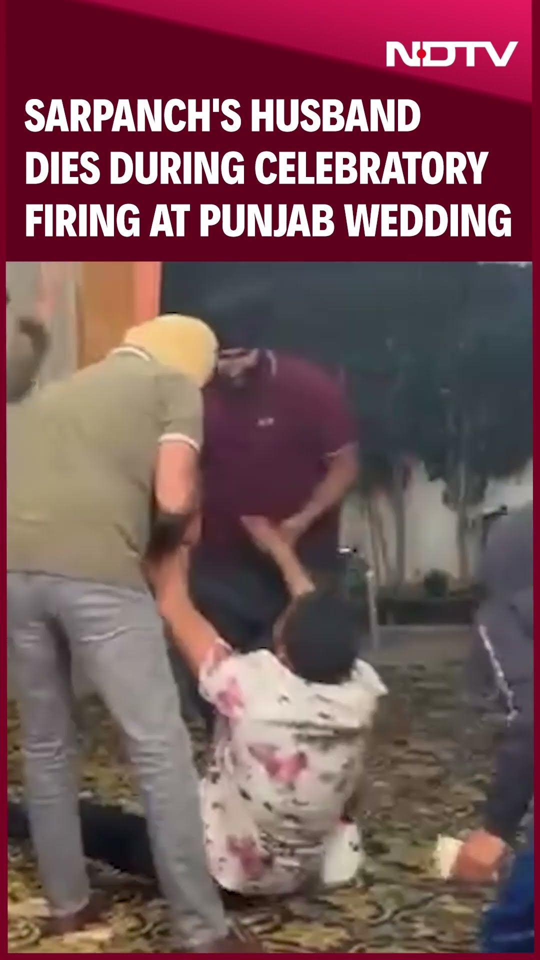 Punjab News | Sarpanch's Husband Dies During Celebratory Firing At A Punjab Wedding