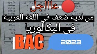 خطة مراجعة اللغة العربية من الألف إلى الياء في 5 أيام باك 2023 ( أدرس بذكاء و ليس بجهد +18.5 )