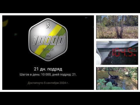 46-50 Сколько накушано в деревне?