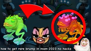 How To Get Rare Brump In Msm 2023 No Hacks
