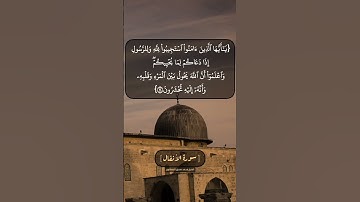 سورة الأنفال الآية ٢٤ و ٢٥ بصوت الشيخ محمد صديق المنشاوي