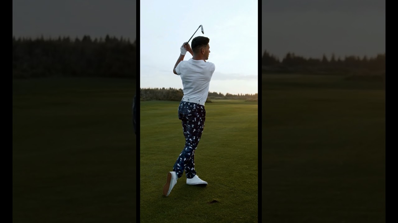 🎯 Lotto Champ – Member Area & Video Courses (Best Strategy System)