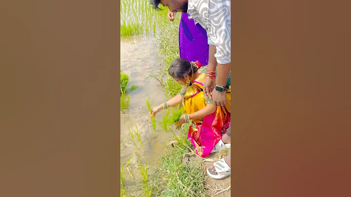 💕My love couples  💕 yashu  sony #viral #lovestory #lovers #village #vlogs #shorts #viralvideo