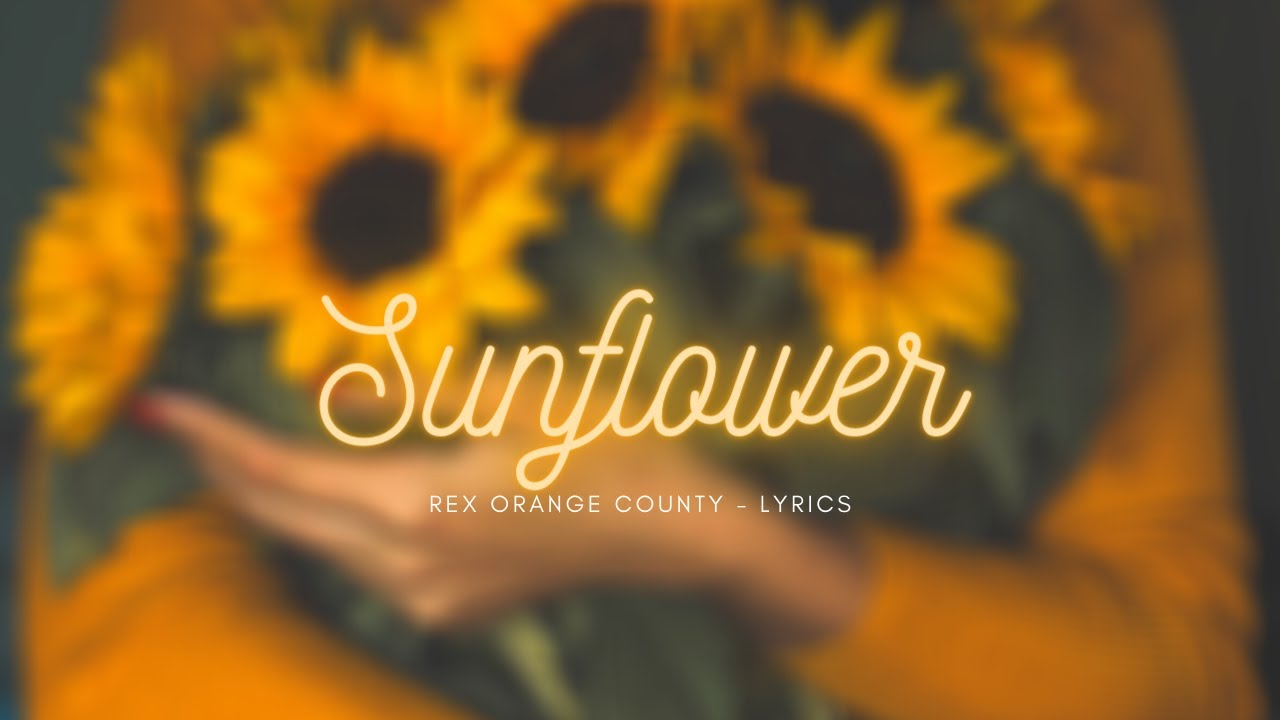 Rex Orange County Sunflower (Lyrics) YouTube