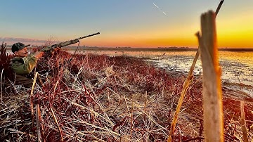 4 Man Duck  LIMIT IN 20 Mins On Public Land (Layout Blind Hunt)