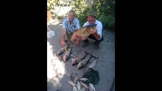 Толстолобик рыбалка в пригороде Алматы