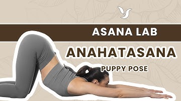 Asana Lab | Anahatasana (Puppy Pose) Breakdown