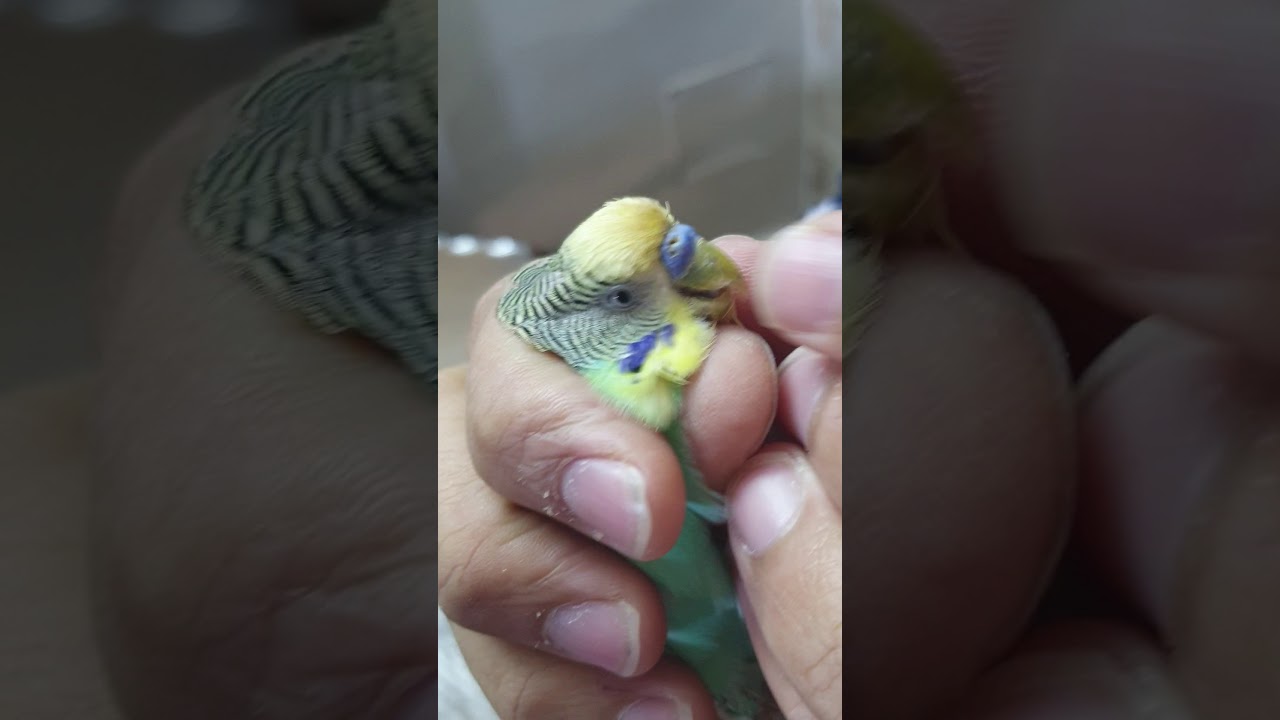 ماذا حدث بعد فك الجبيرة؟