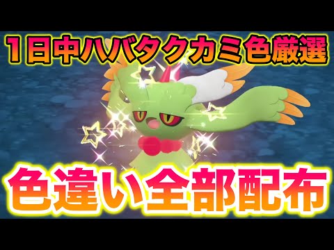 1日中ハバタクカミ色違い厳選！色ゲットしたら即配布します！【ポケモンスカーレット・バイオレット/SV】