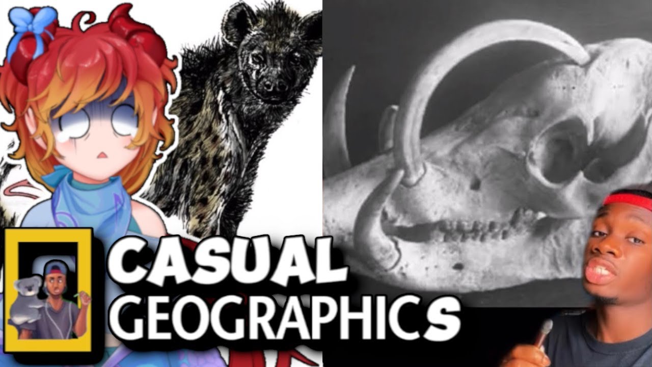 Animals that Got the Middle Finger from Evolution | ADHD Vtuber's Casual Geographic Reaction