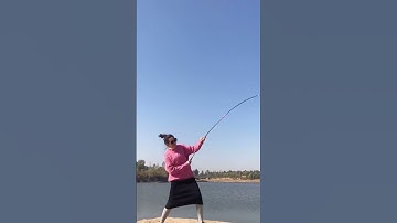 Cần câu đài xịn - đồ câu sài gòn giá rẻ 😍 | Fishcamp Việt Nam #121 #shorts