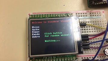 VizzWear - LCD testing