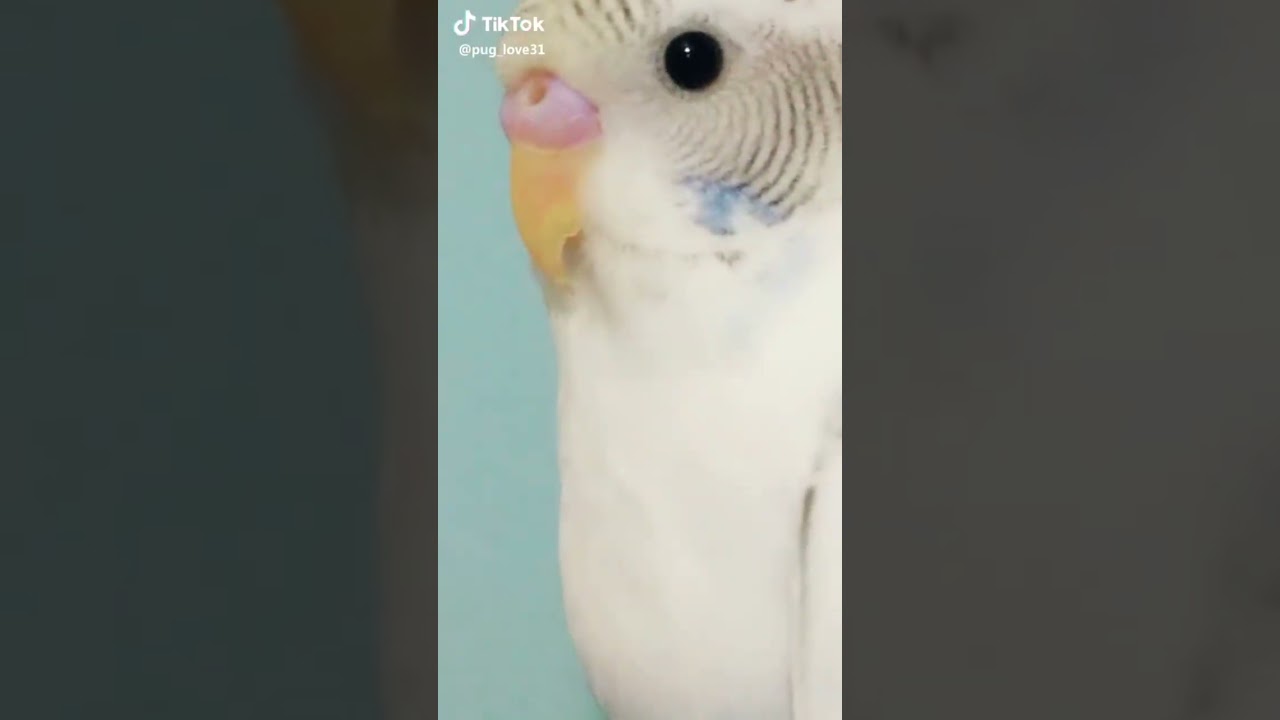 How long have you been stalking me 