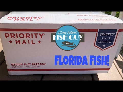 LIVE FISH UNBOXING!