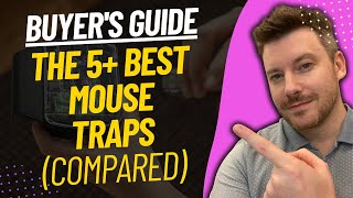 The 5 Best Mousetraps of 2023
