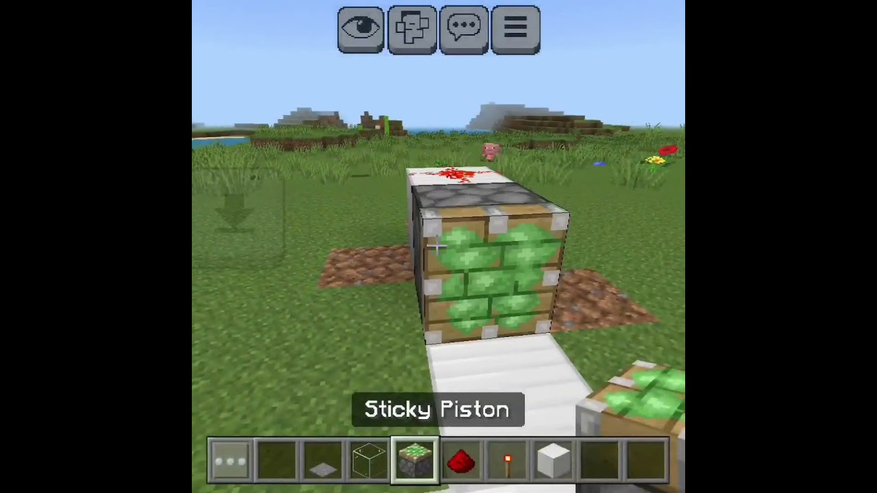 Minecraft Automatic Door ☠️