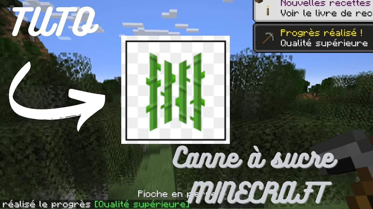 TUTORIEL COMMENT AVOIR DE LA CANNE A SUCRE SUR MINECRAFT FACILEMENT