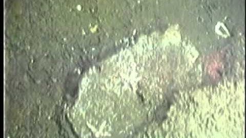 C0212SC_Tape52o.noaudio.mpg