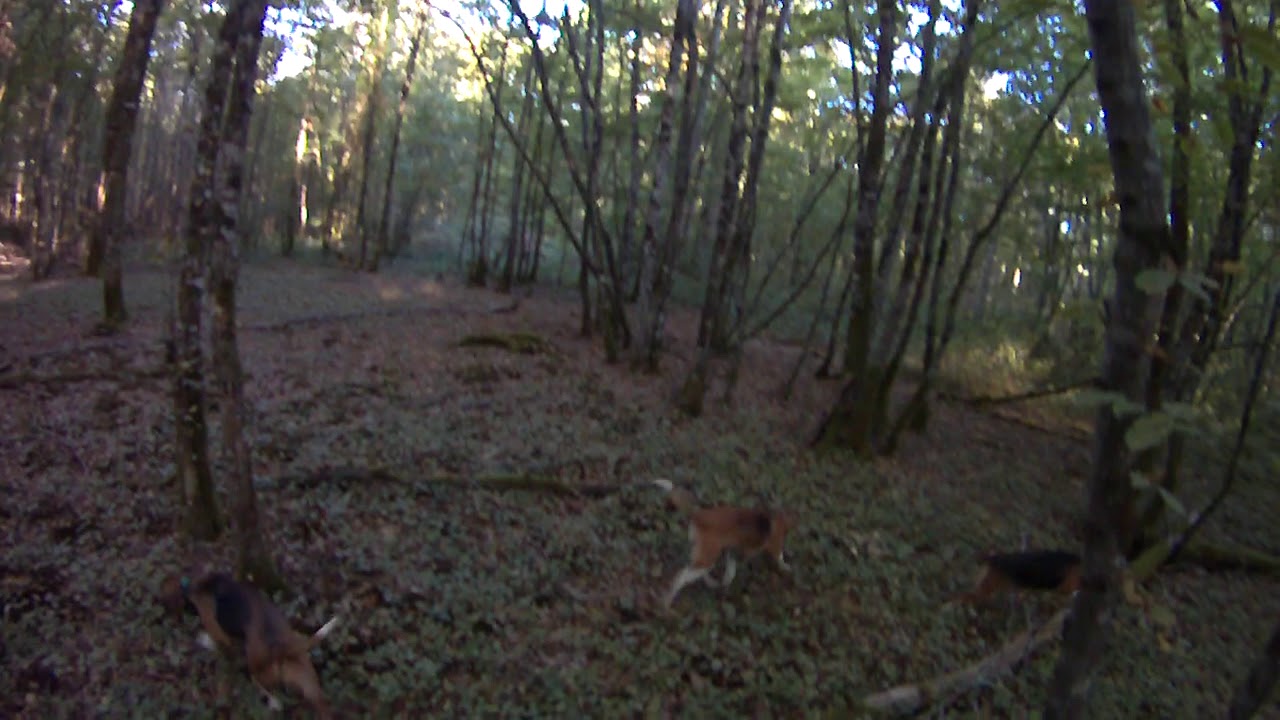 rapprocher du 04 09 2019